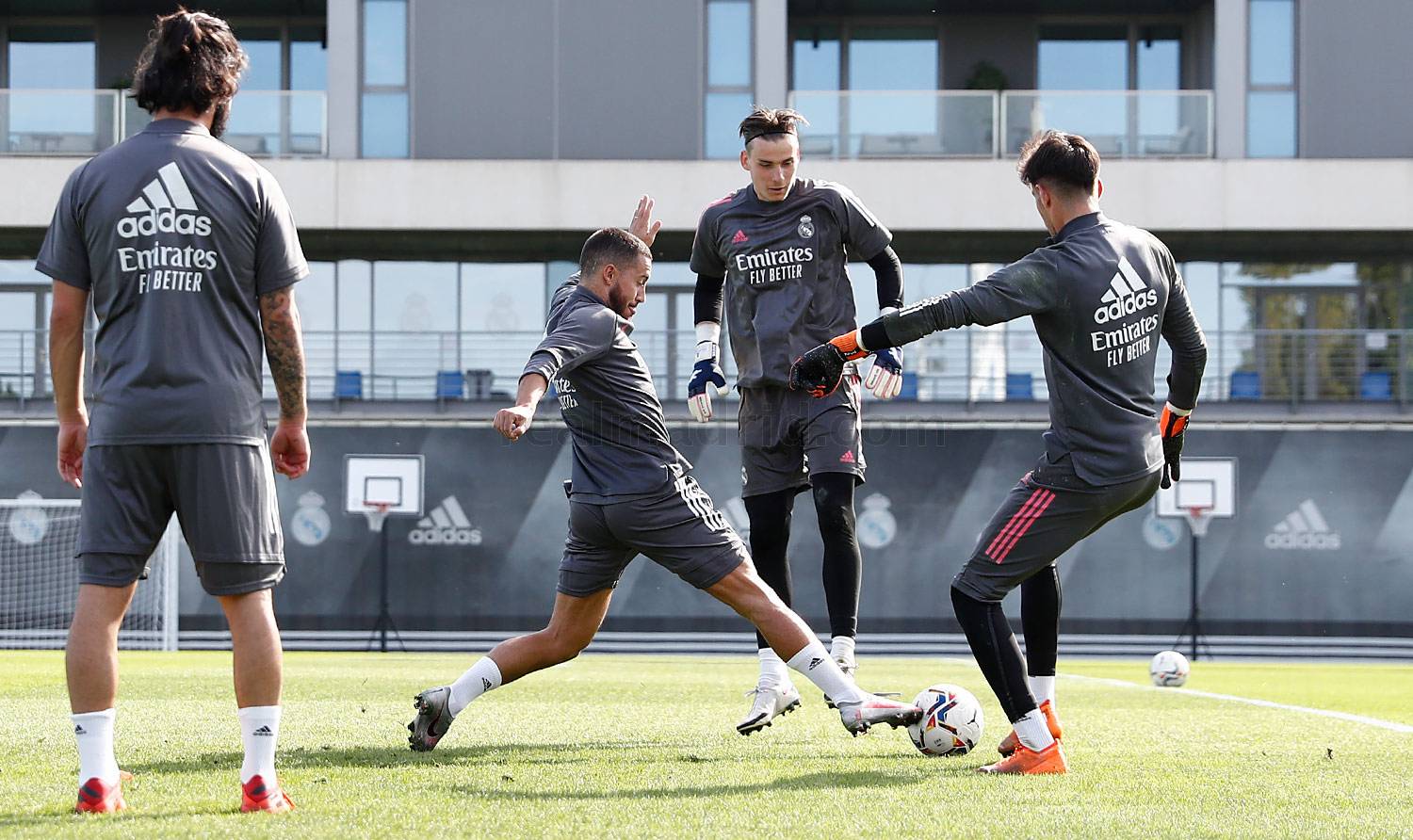 AVC8747 - OnzedAfrik