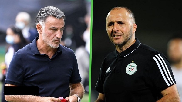 Djamel Belmadi Christophe Galtier - OnzedAfrik