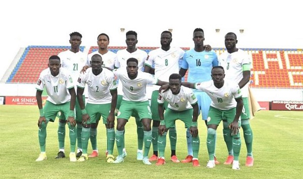 lions 2021 696x439 1 - OnzedAfrik