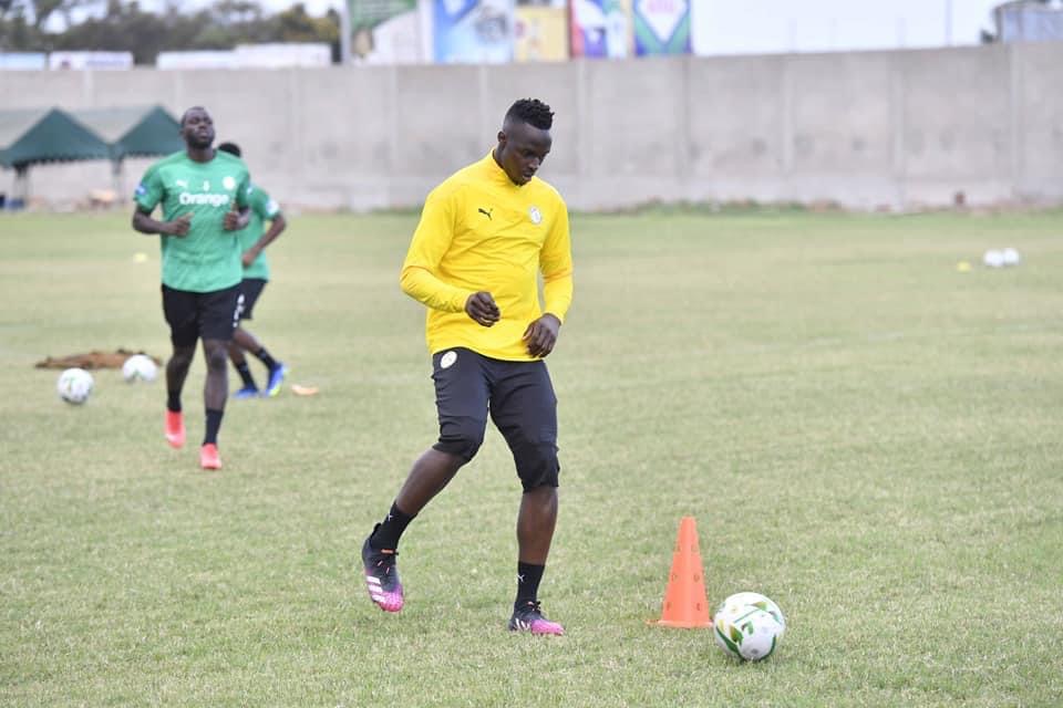 Tanière des Lions : premier galop d'entrainement à Lomé en images 45 2B6980C6 D81A 412C AA36 4DF3FE260C09 - OnzedAfrik