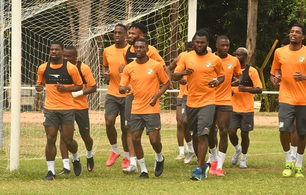 ENT ELEPHANTS 1.jpg5 1 - OnzedAfrik