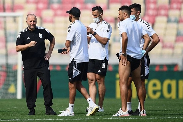 Algerie Belmadi - OnzedAfrik