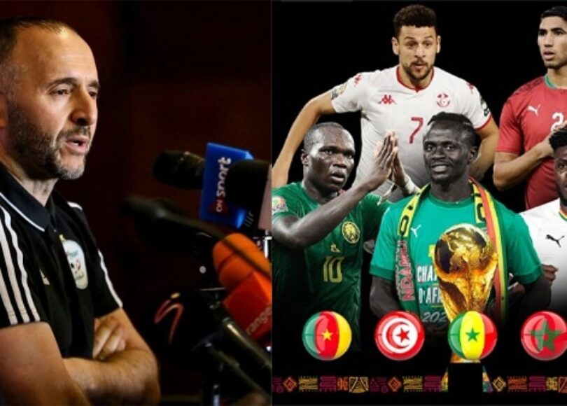 Belmadi Coupe du monde 2022 - Onze d'Afrik - L'actualité du football