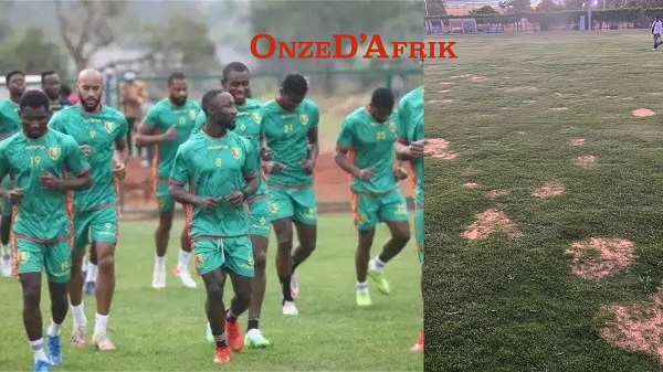 Collage sans titre 23 - OnzedAfrik