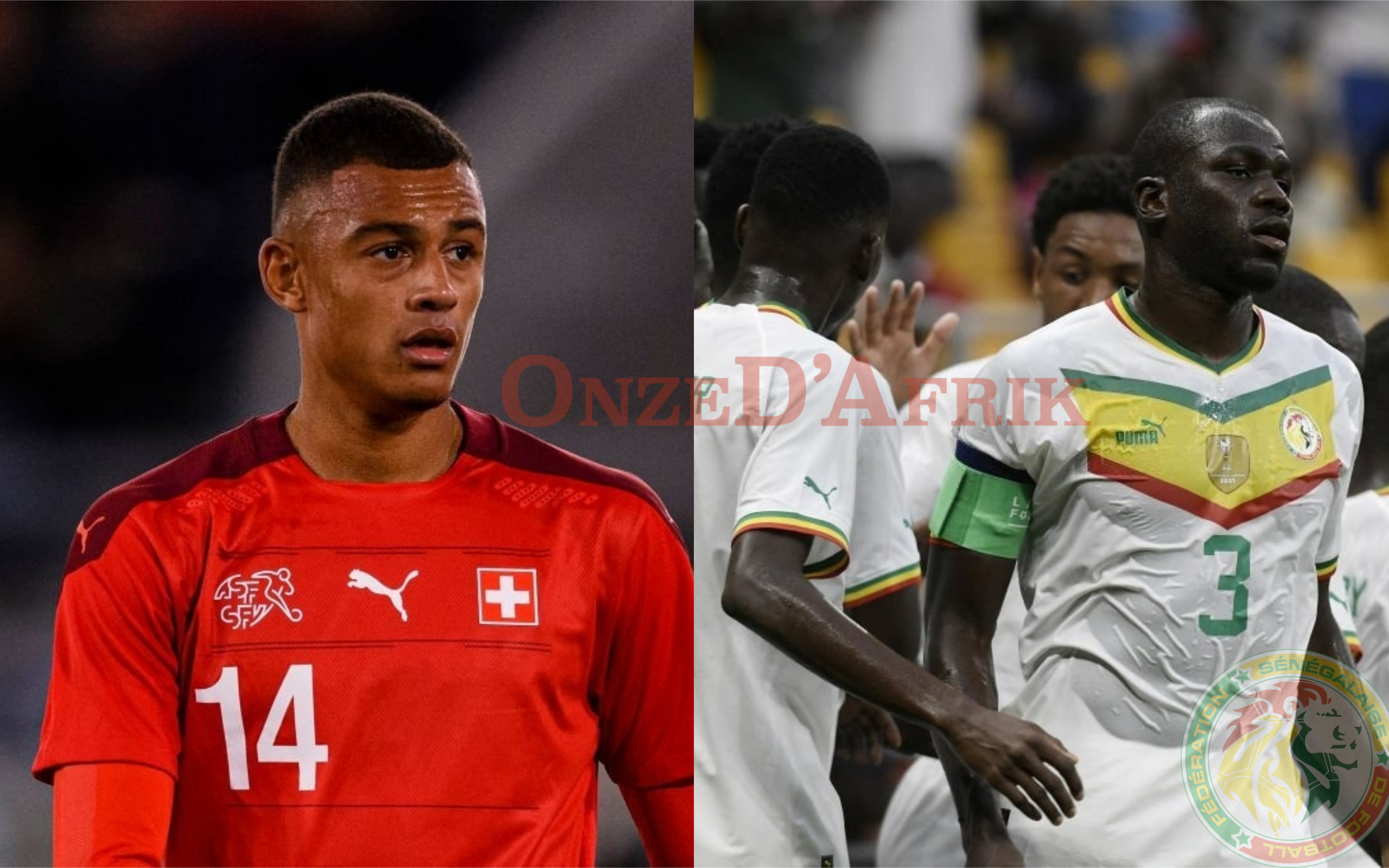 Dan Ndoye - OnzedAfrik