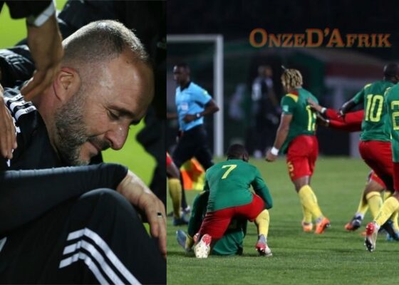 Djamel Belmadi 2 - Onze d'Afrik - L'actualité du football