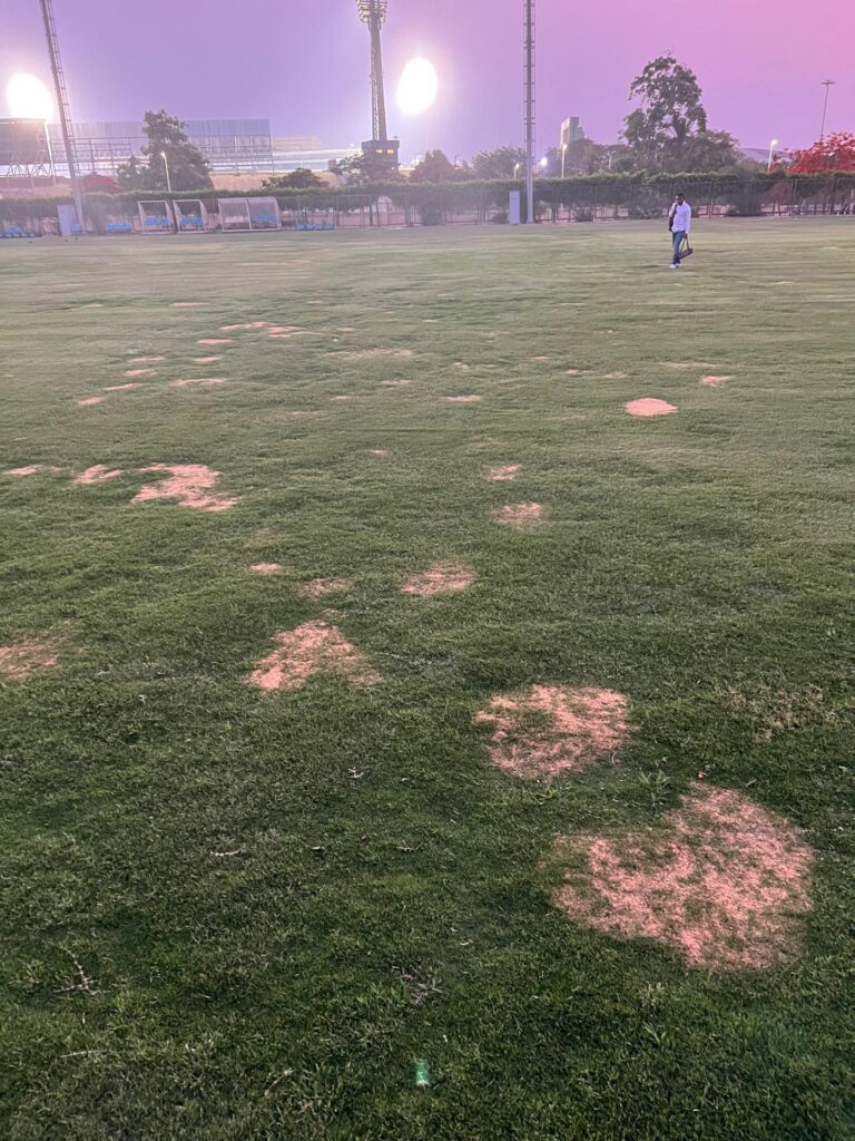 Egypte-Guinée : La pelouse d'entrainement du Sily National scandalise la toile (image) 11 FUfoaJgXwAIUdwd - OnzedAfrik