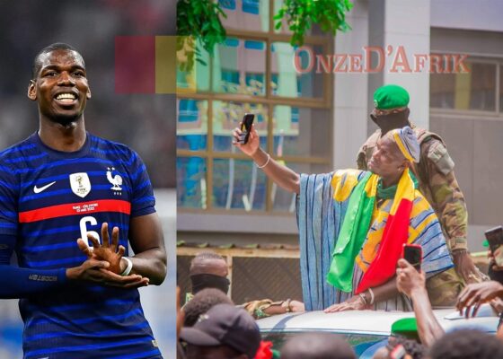 Paul Pogba - Onze d'Afrik - L'actualité du football