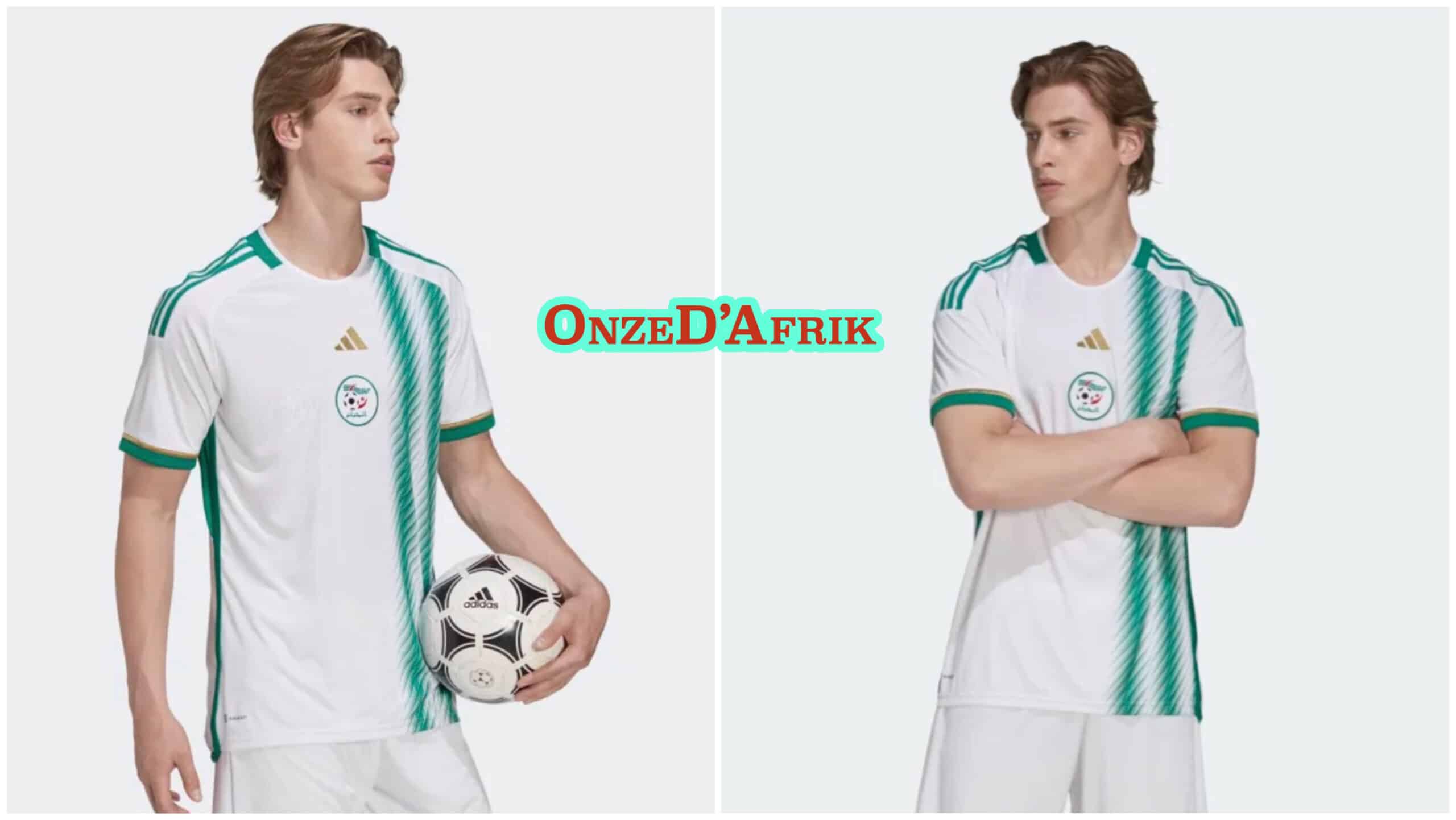 047A5B07 E3BA 463D 923D FB9944157AC4 scaled - OnzedAfrik