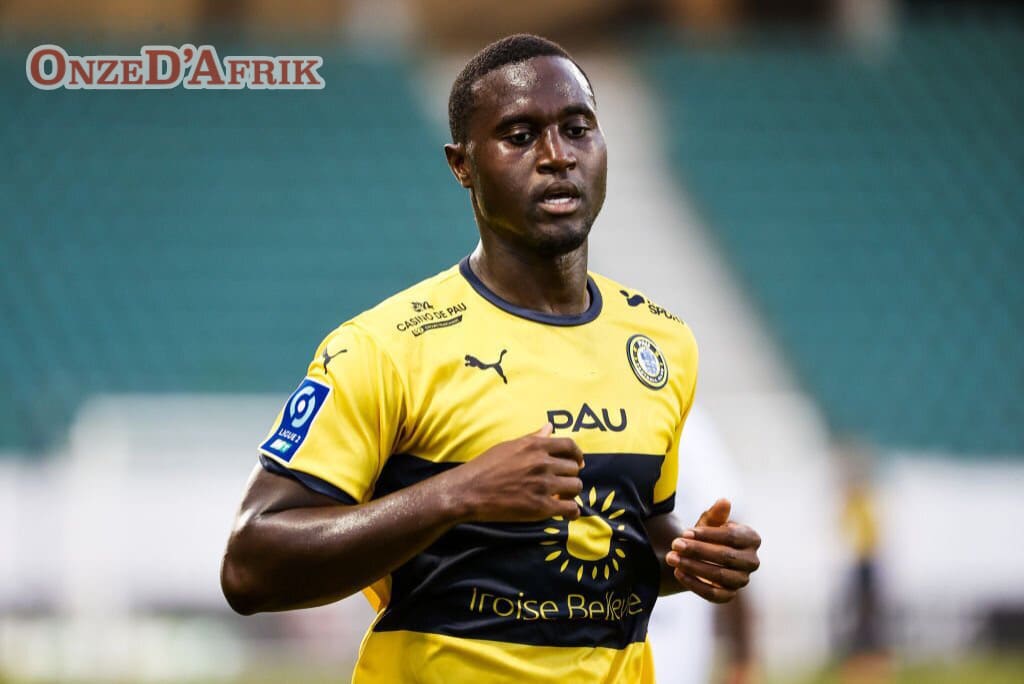 04F7D424 0CCC 4304 AFAA 6DEA7E2F71F3 - OnzedAfrik