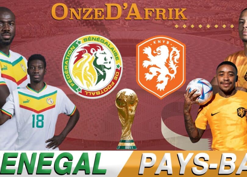 Senegal vs Pays Bas World Cup - Onze d'Afrik