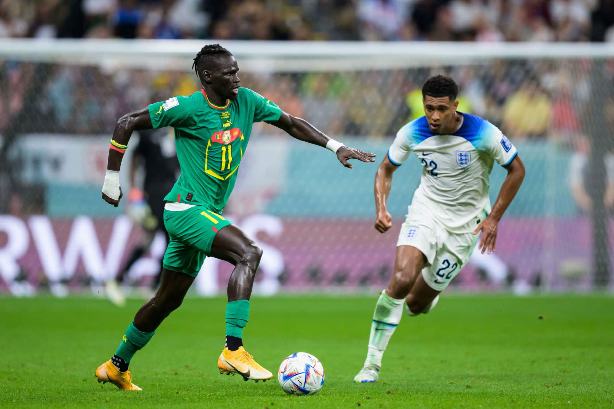 Icon BB221204JM088 - OnzedAfrik