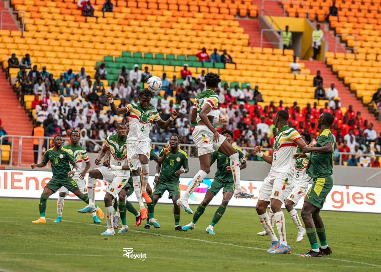 71751249 49974831 - OnzedAfrik