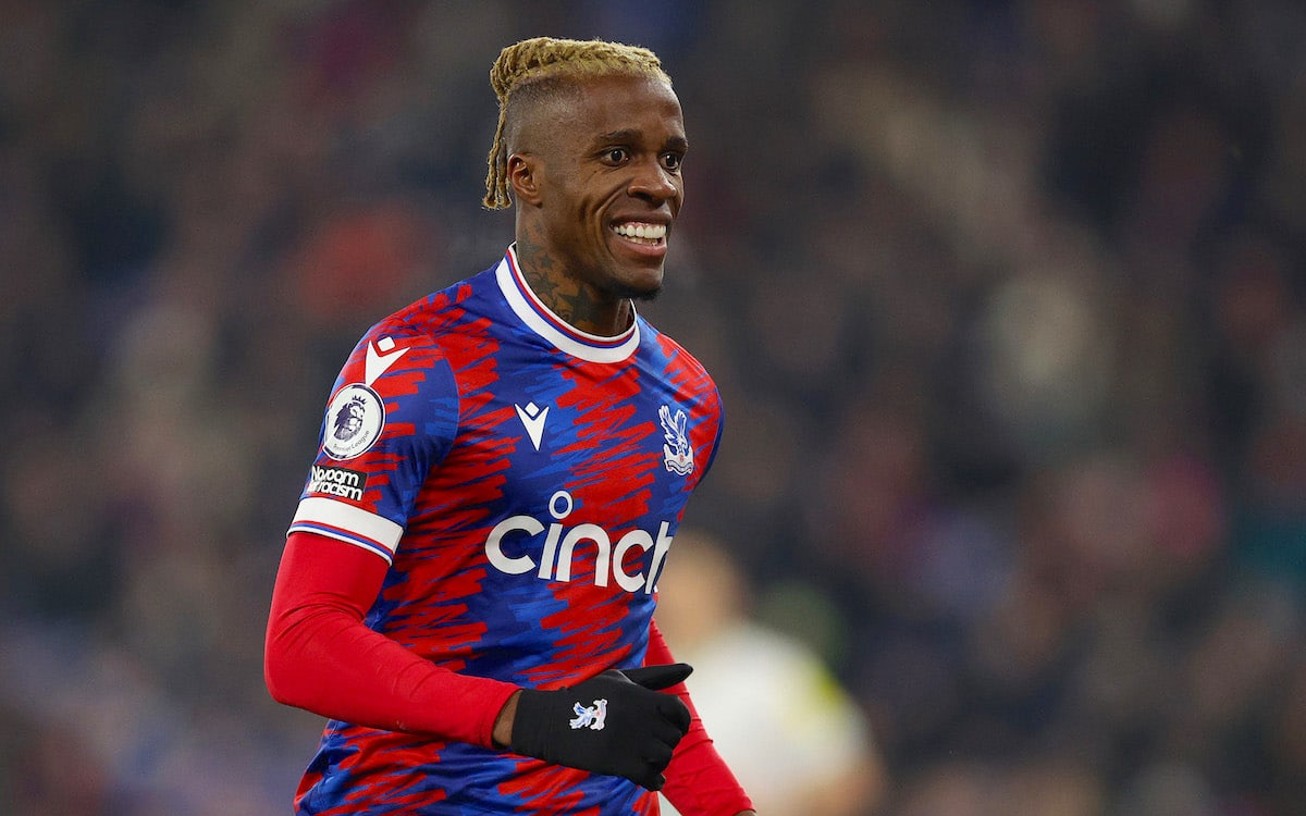 crystal palace v newcastle united premier league - OnzedAfrik