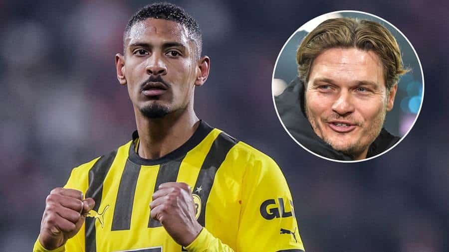 regular 16 9 1 - OnzedAfrik