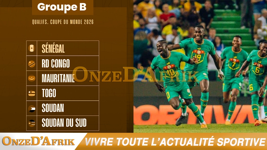 plakonz 1 - OnzedAfrik