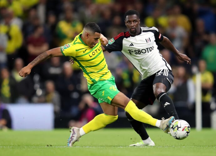 PA 73914786 690x500 1 - OnzedAfrik