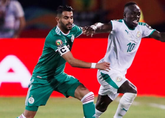 Senegal Algerie ce qu il faut savoir avant la finale de la Coupe d Afrique des nations - Onze d'Afrik