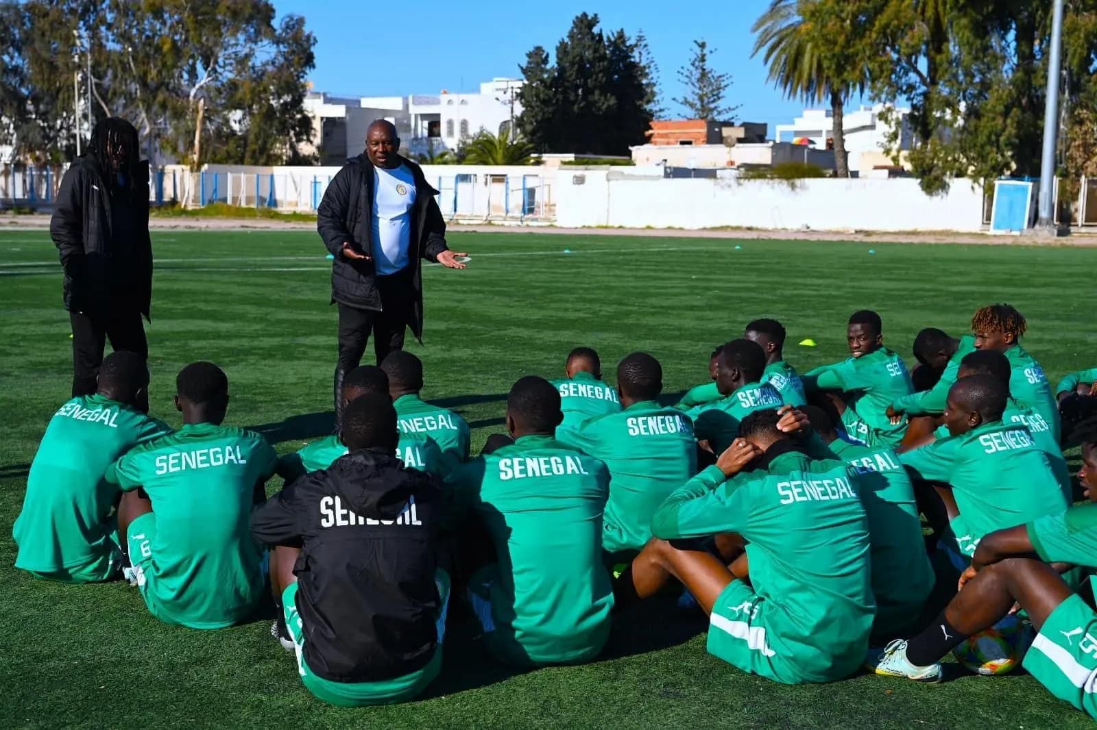 lIONS LOCAUX - OnzedAfrik