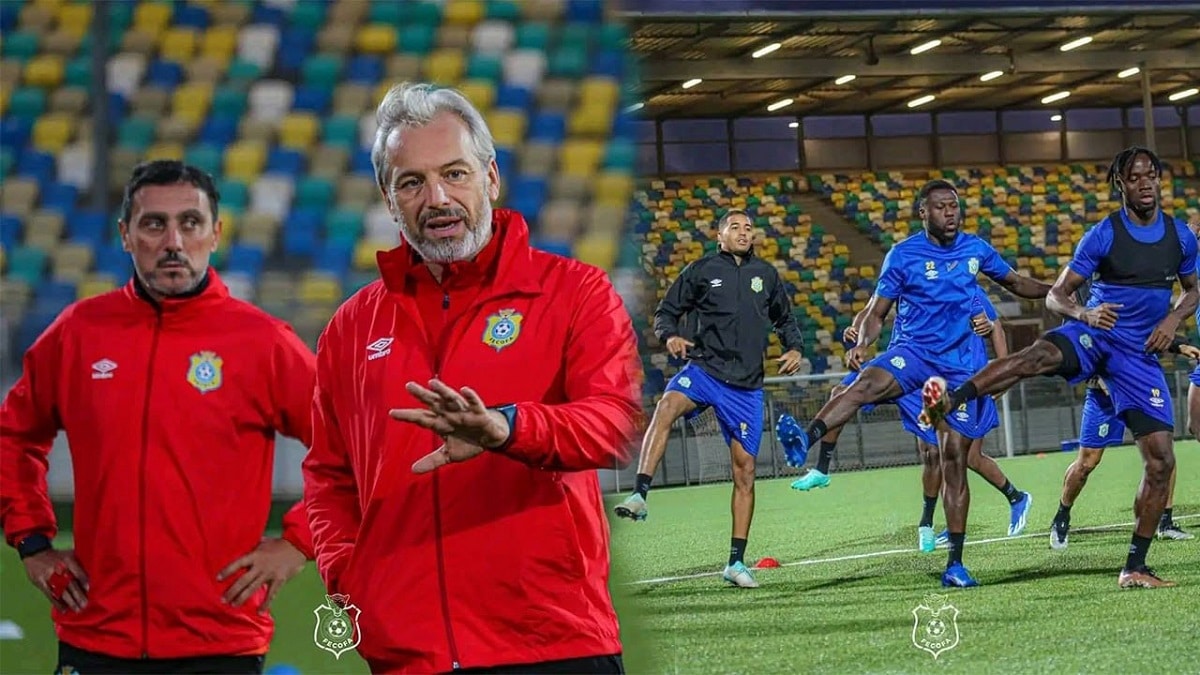 RD Congo Leopards Desarbre - OnzedAfrik