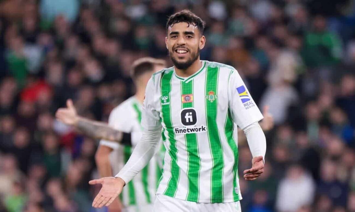 Shadi Riad e1703618892840 - OnzedAfrik