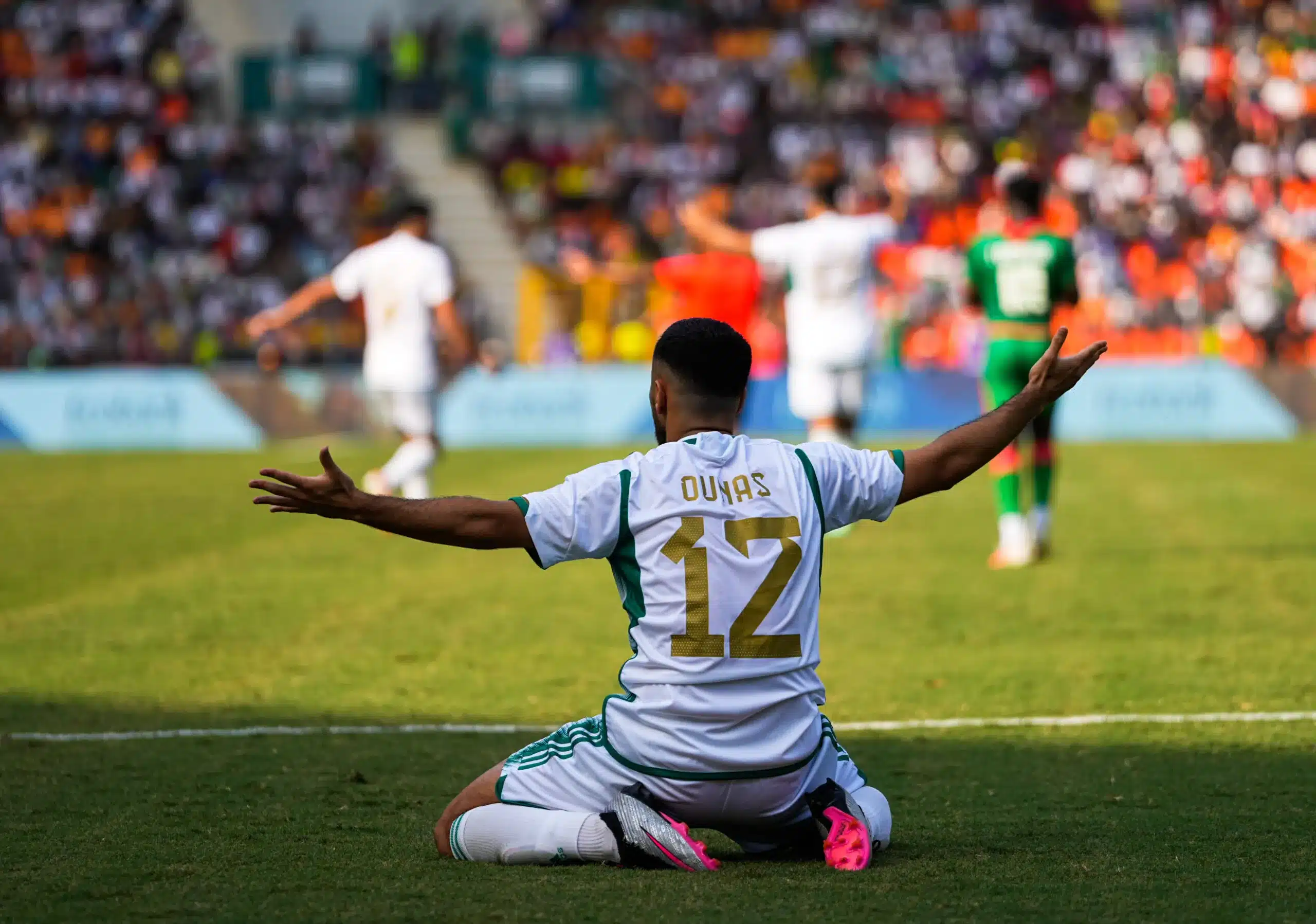 IMG 2686 - OnzedAfrik