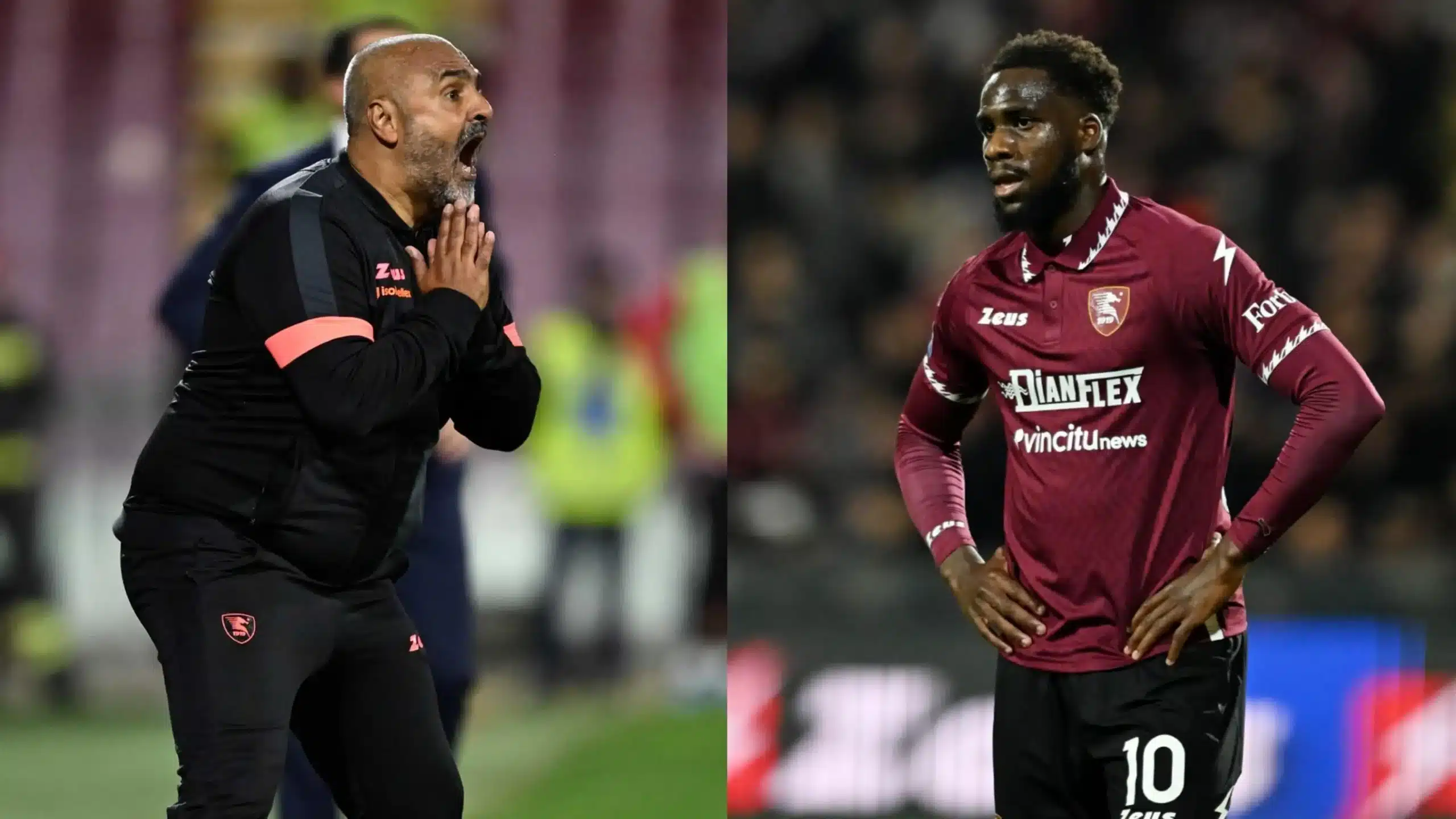 IMG 3618 scaled - OnzedAfrik