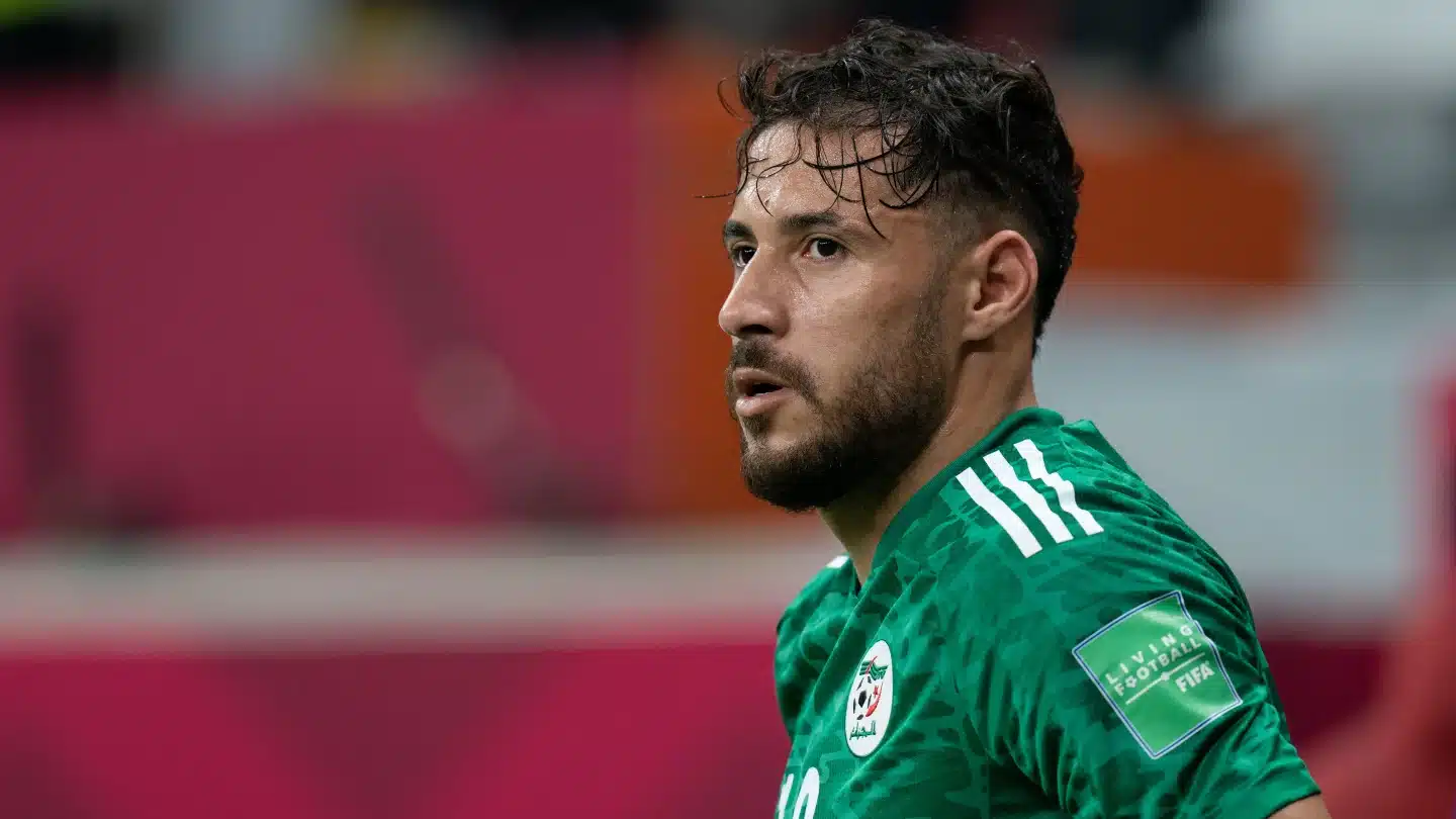 IMG 3682 - OnzedAfrik