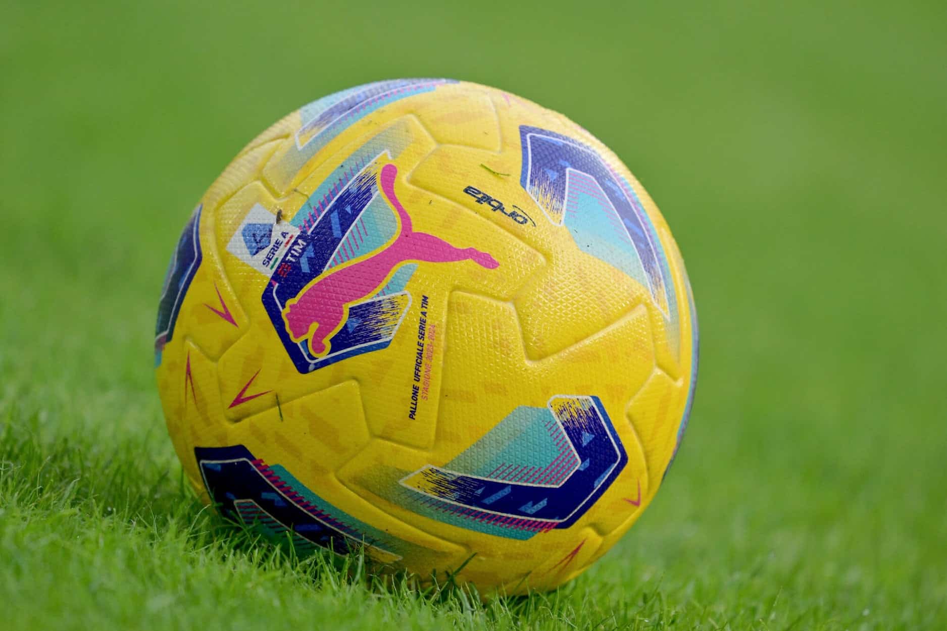 IMG 4703 - OnzedAfrik