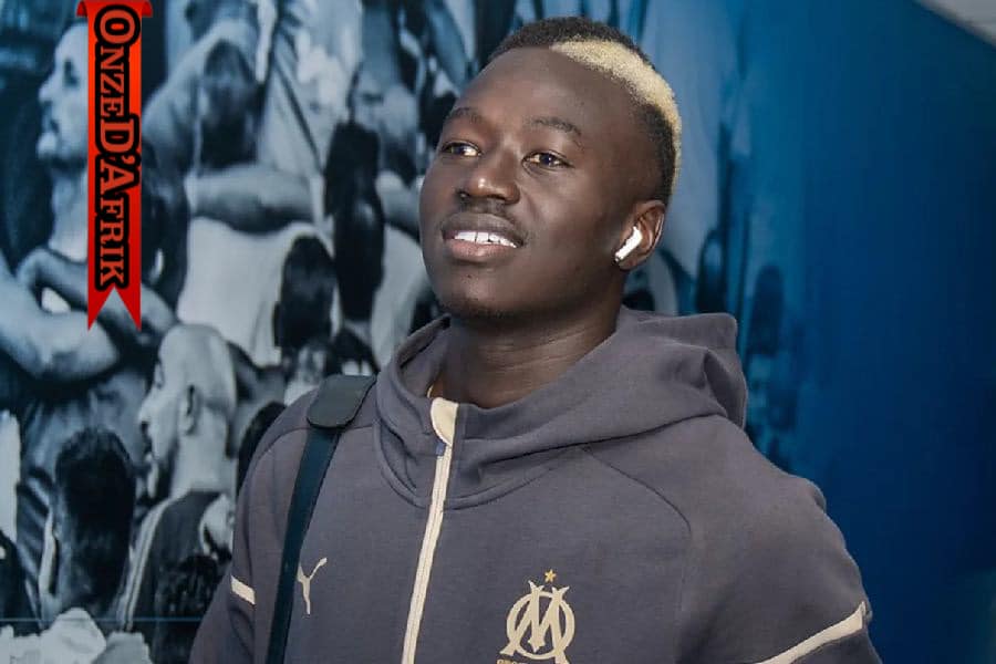 02ABD8DA 1448 4BDE 9FA7 37C96B9EE78C - OnzedAfrik