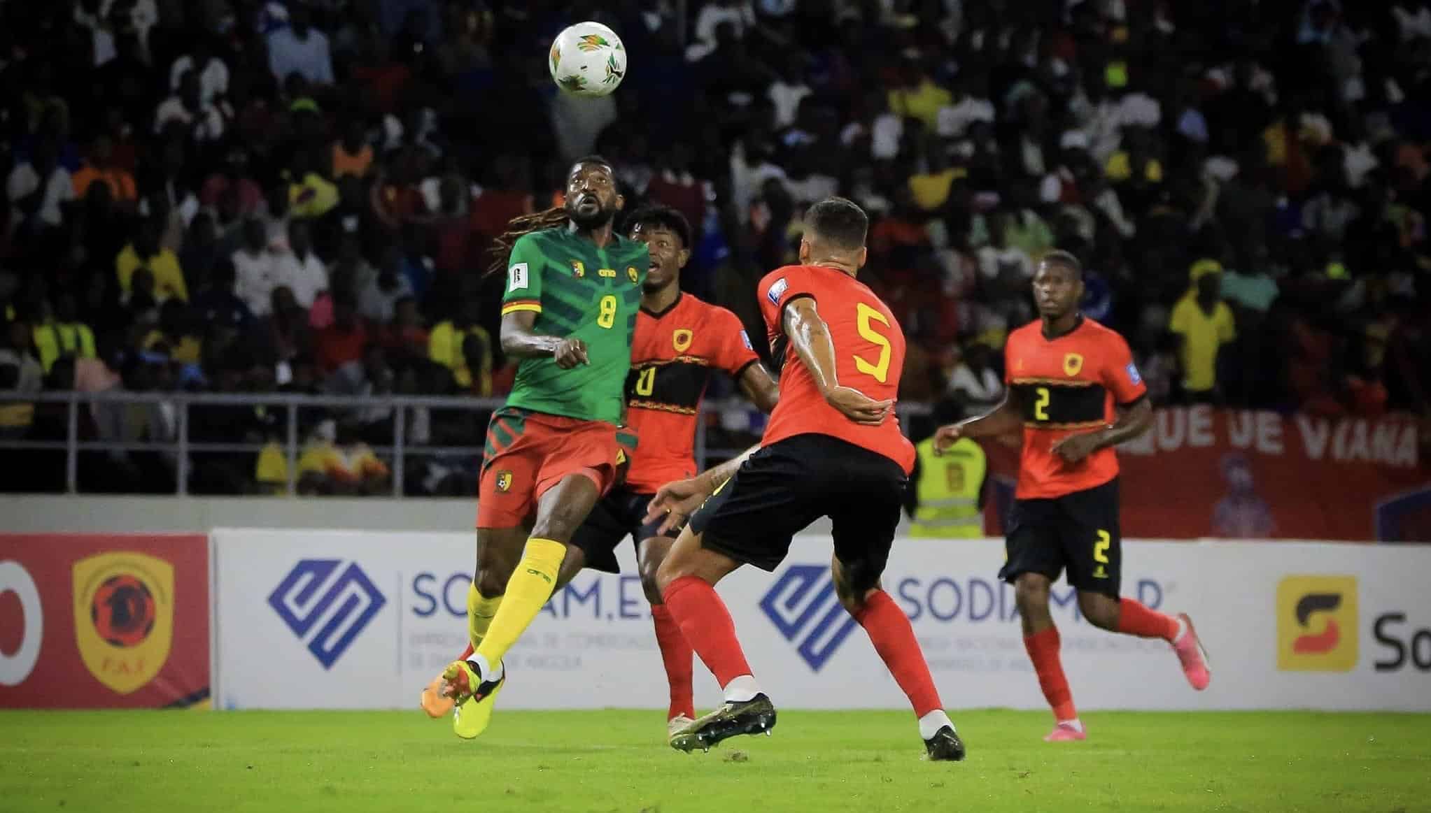 IMG 6553 - OnzedAfrik