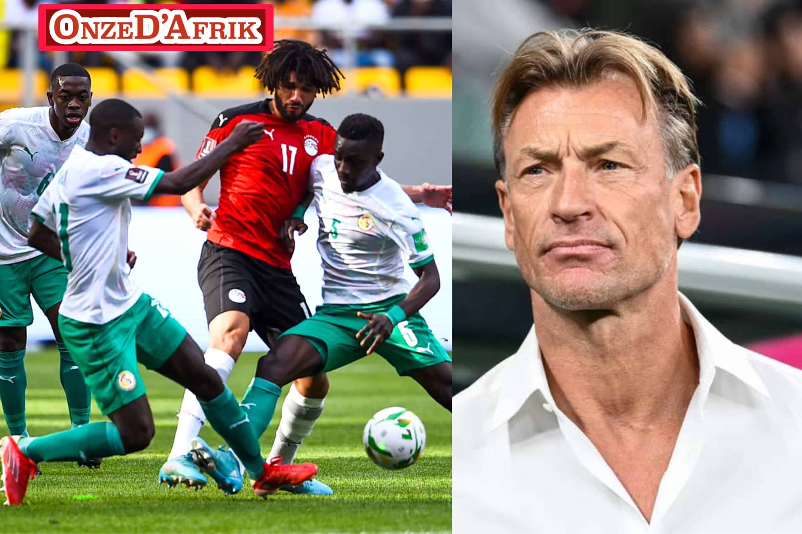 FFA0E23D 2E28 4A4B BADF A93FC8E7D716 scaled - OnzedAfrik