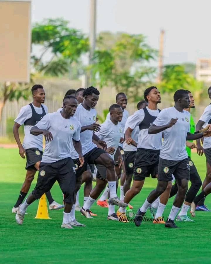 IMG 0532 - OnzedAfrik