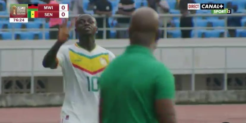 IMG 0767 - OnzedAfrik