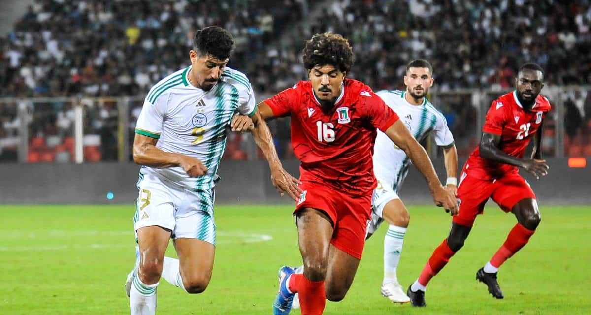 IMG 1648 - OnzedAfrik