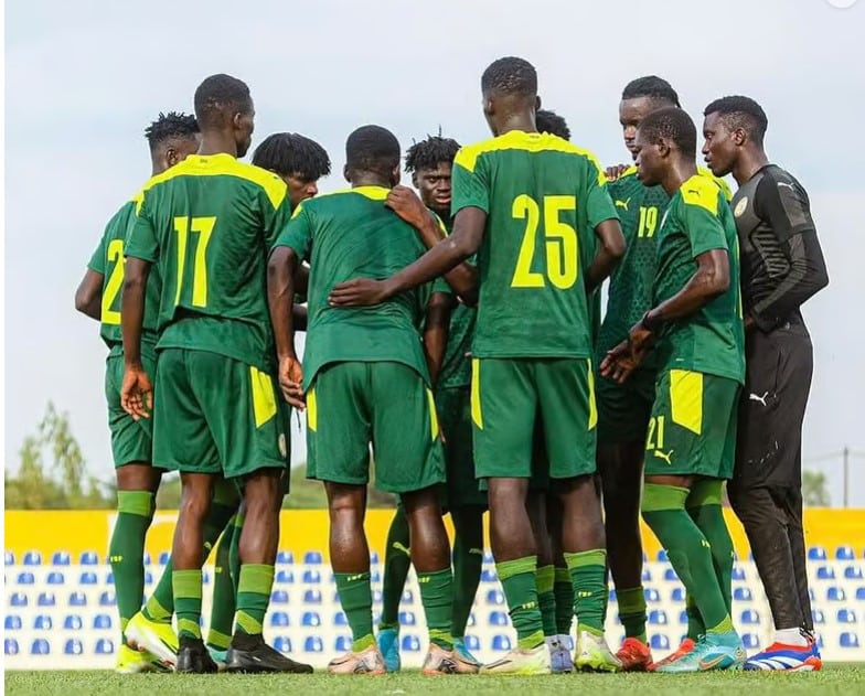 lions chan - OnzedAfrik