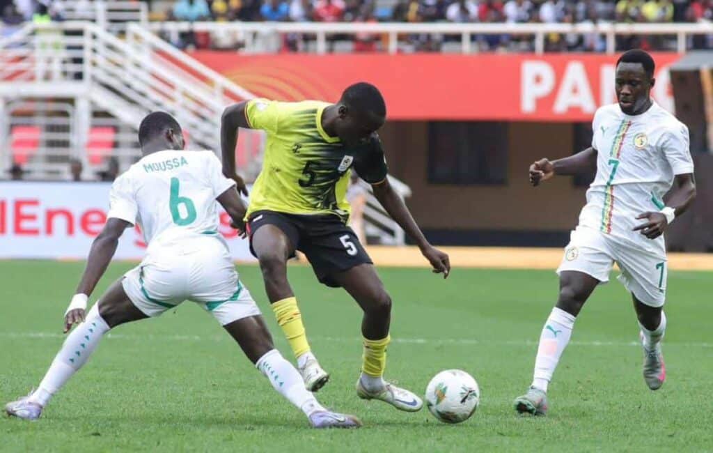 Lions locaux senegal 1024x650 1 - OnzedAfrik