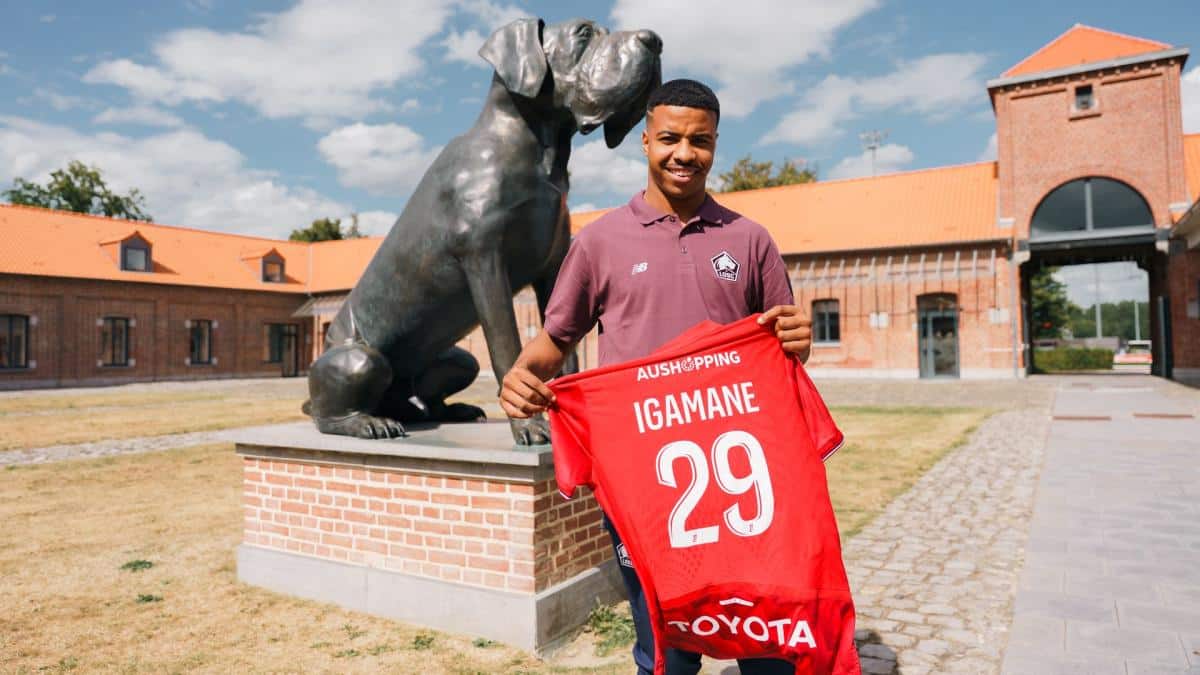 igamane losc - OnzedAfrik