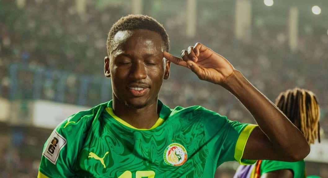 img 9279 - OnzedAfrik