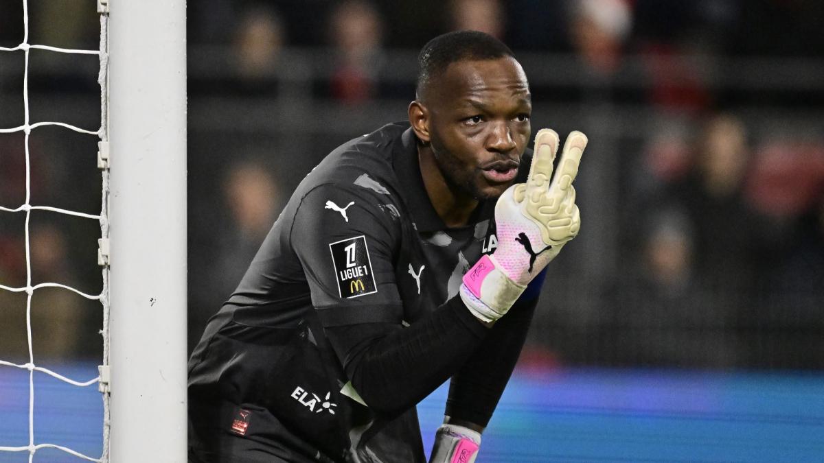 mandanda 67785a044884d - OnzedAfrik