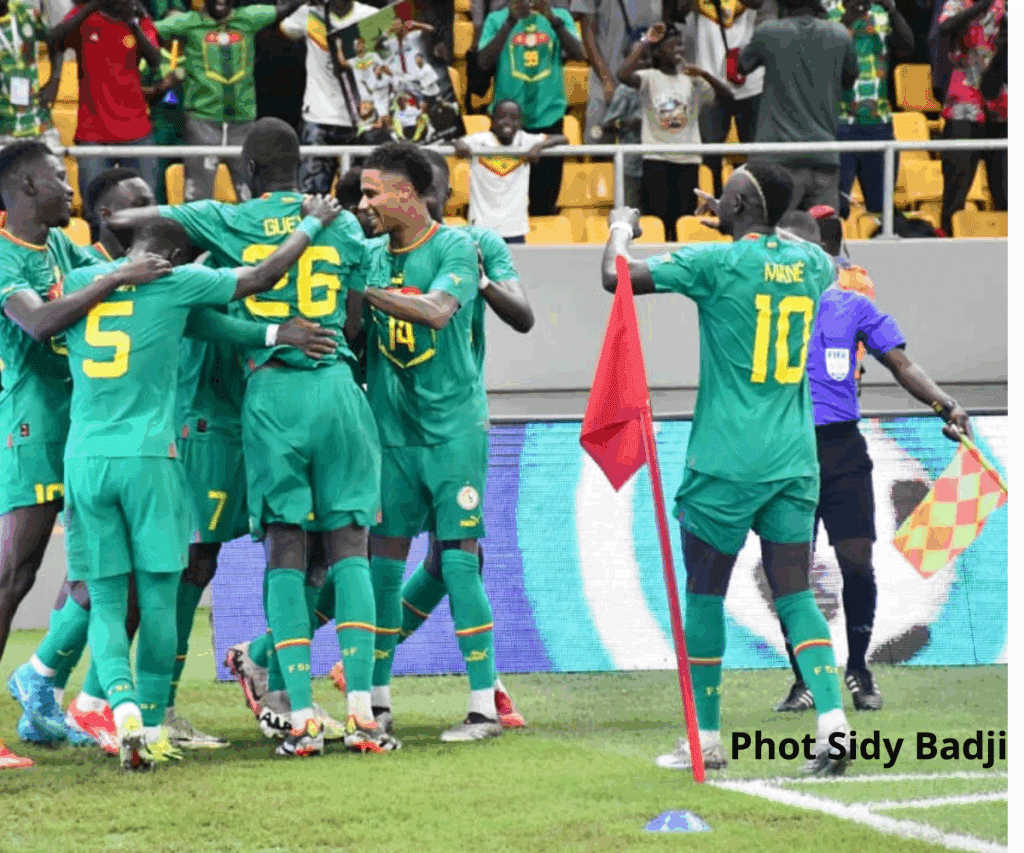 1764097865 LIONS A 1 1024x853 1 - OnzedAfrik