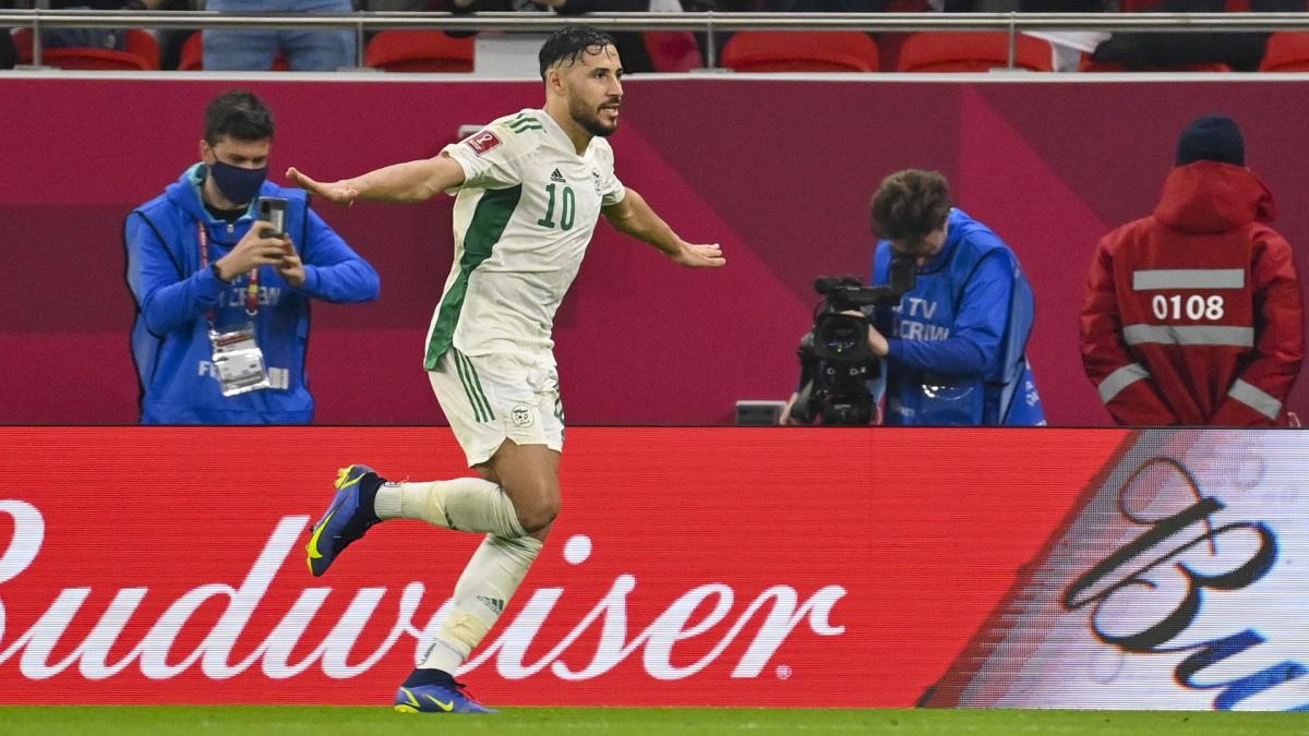 belaili - OnzedAfrik