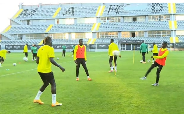 seance des lions - OnzedAfrik