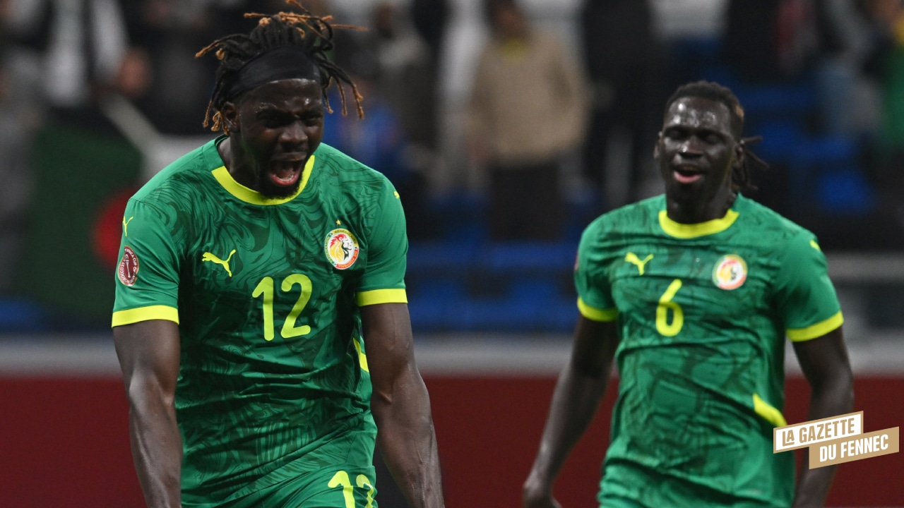 Algerie RD Congo 2 - OnzedAfrik