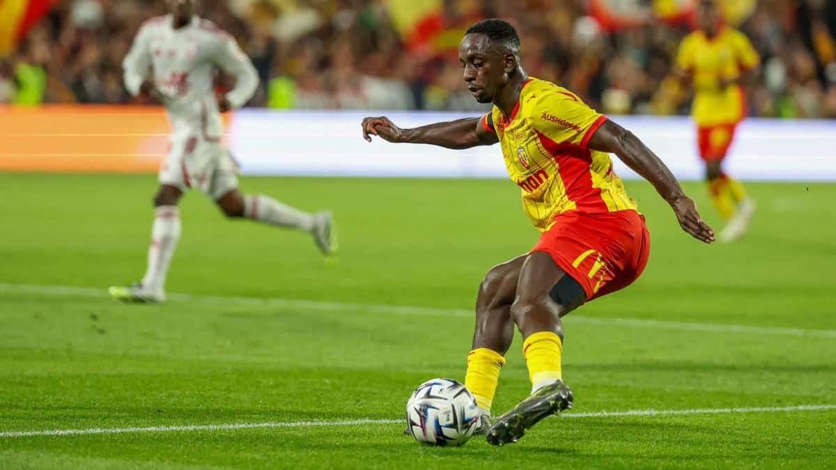 machado 693097ffdfb64 - OnzedAfrik