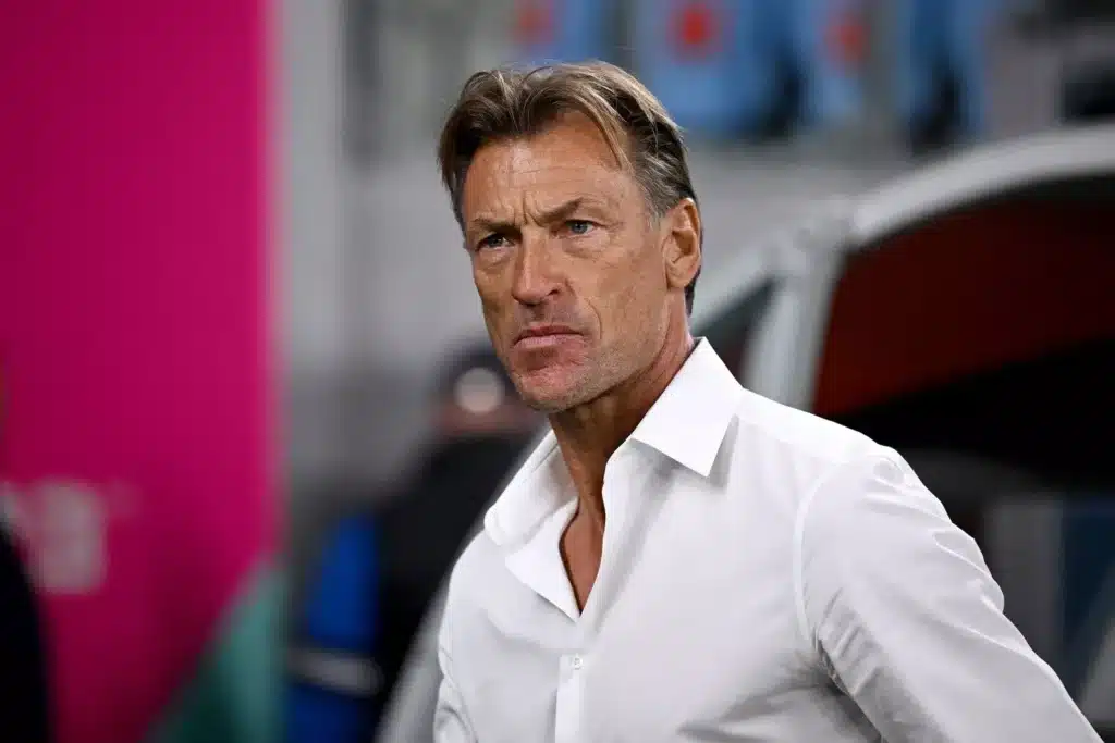 1770844899 herve renard 4588 1024x683 1 - OnzedAfrik