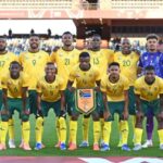 bafana bafana e1770535025379 - OnzedAfrik