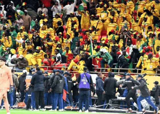supporters senegalais - OnzedAfrik