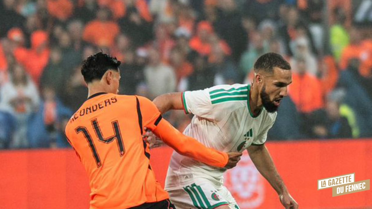 Nabil Bentaleb 6 - OnzedAfrik